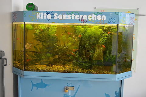 Aquarium